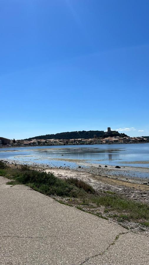 T3 De Charme Climatise - Piscine - Plage A 5 Min 格吕桑 外观 照片